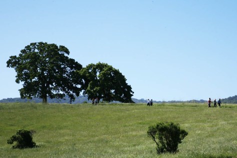 LAH Pathways Run Course