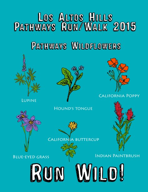 Pathways ARTWORK on Safety Blue